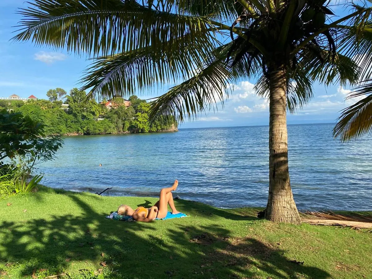 The Water Melon House Apartment Samana 0*,